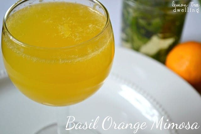 Wine glass of Basil Orange Mimosa on a white plate. 