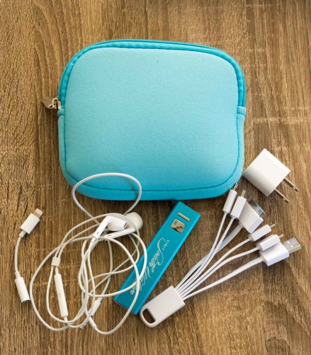 assortment of charging cords and cables - carry on essentials!