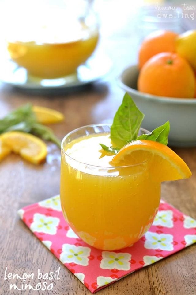 Glass of Lemon Basil Mimosa garnished with basil leaves and sliced oranges. 