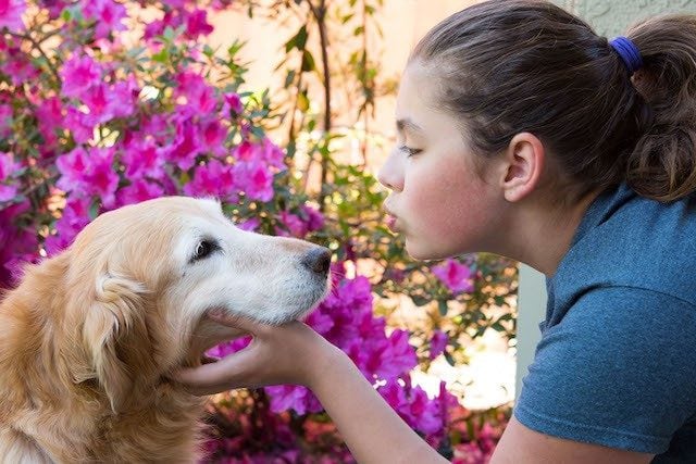 girl kissing dog with flowers behind