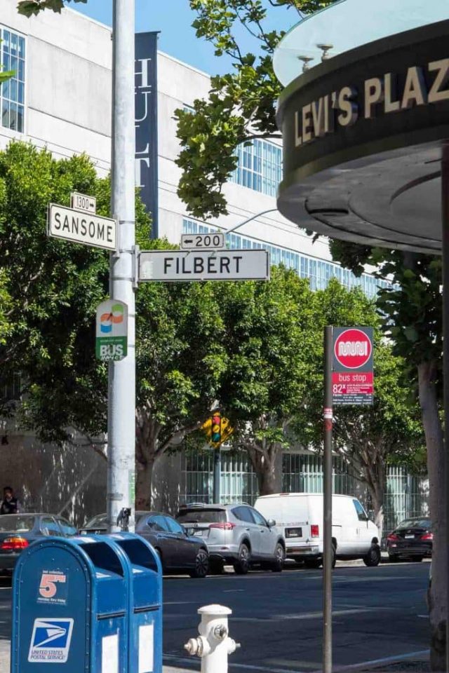 Take the hidden steps to Coit Tower for gorgeous views of San Francisco and a nice workout. See the hidden homes and great views of the San Francisco Bay!