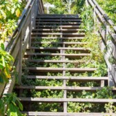 Take the hidden steps to Coit Tower for gorgeous views of San Francisco and a nice workout. See the hidden homes and great views of the San Francisco Bay!