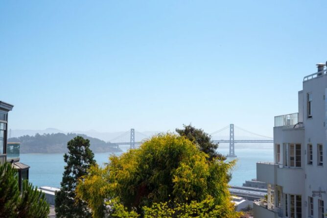 photo of bay bridge in san francisco behind trees with blue sky