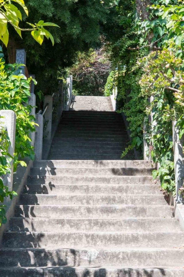 Take the hidden steps to Coit Tower for gorgeous views of San Francisco and a nice workout. See the hidden homes and great views of the San Francisco Bay!