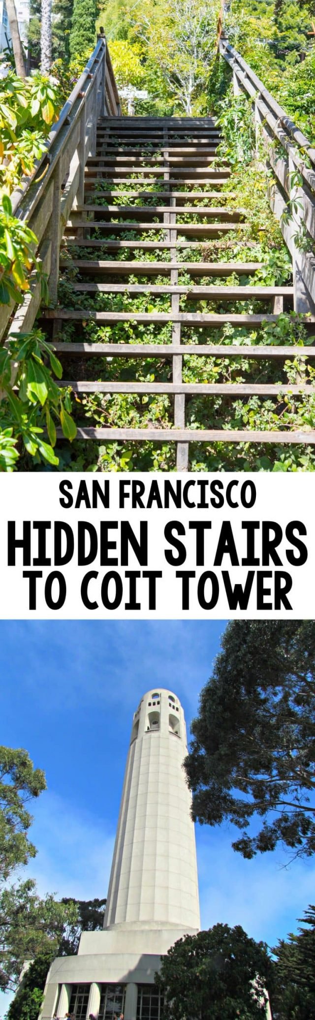 San Francisco Travel: Take the Hidden Steps to Coit Tower for gorgeous views and a nice workout. See the hidden homes and great views of the San Francisco Bay!