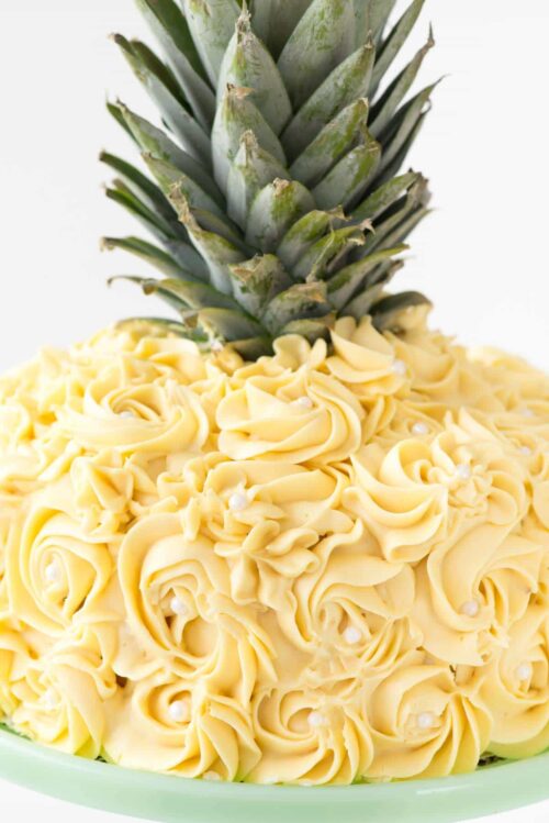 Pineapple Cake Decorating Tutorial Crazy for Crust
