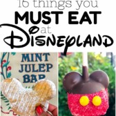 Collage of 16 things you must eat at disneyland