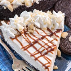 Slice of Chocolate Macadamia Nut Cheesecake