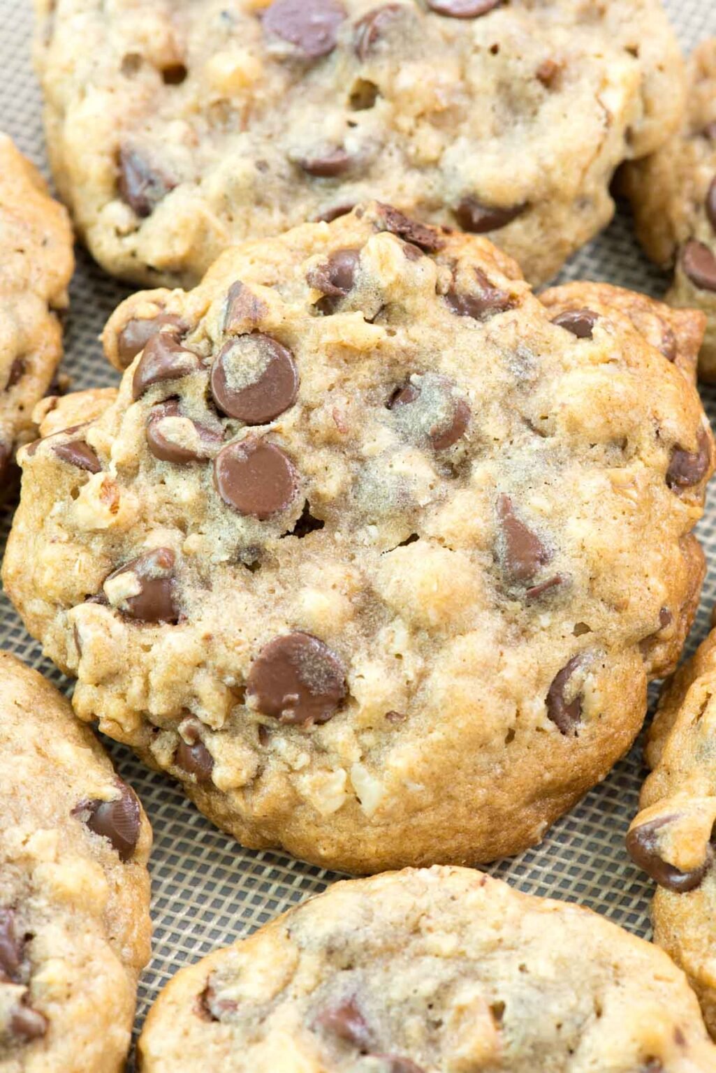 DoubleTree Chocolate Chip Cookies Recipe Crazy for Crust