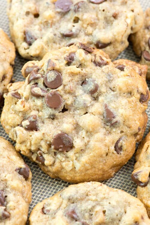 Chocolate chip cookies on a cookie sheet