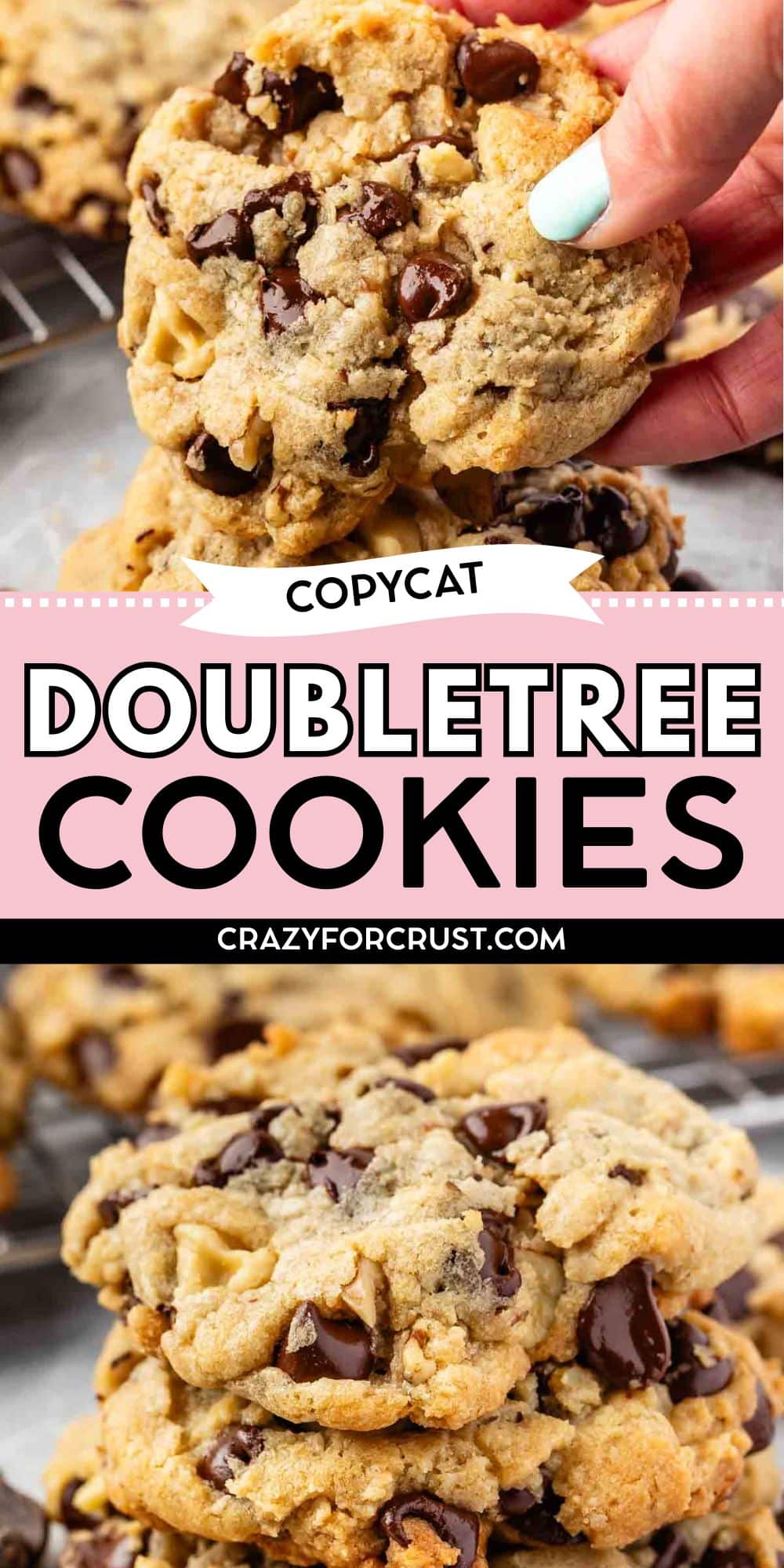Close-up images of thick, gooey Doubletree Chocolate Chip Cookies with walnuts, one being held and others stacked behind, and the text “Copycat Doubletree Cookies crazyforcrust.com” in the center.