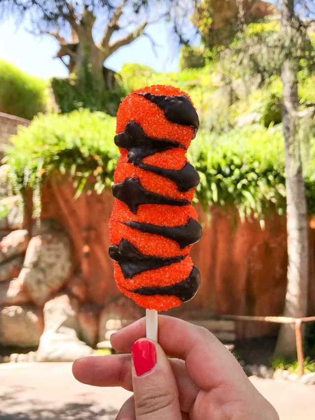 Tigger Tail marshmallow treat - one of the things you MUST EAT at Disneyland!