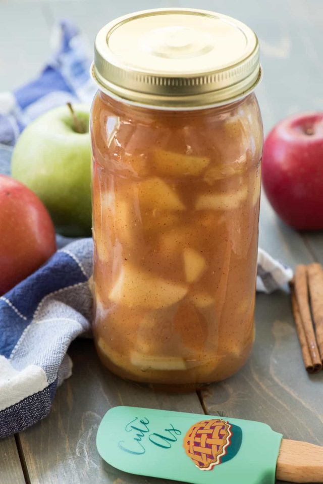 Homemade Apple Pie Filling - this easy recipe takes just a few minutes and tastes so much better than canned pie filling! Keep it in your freezer for when you want pie filling ASAP!