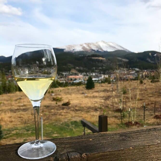 A glass of white wine sitting on a rail with mountains in the background