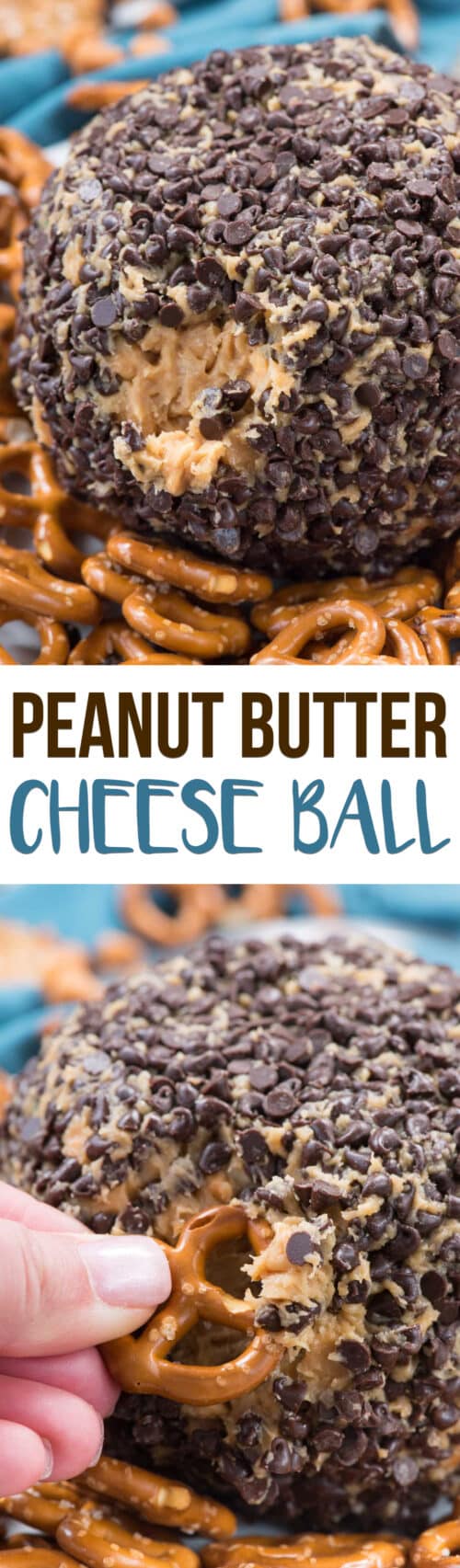 peanut butter cheese ball dip