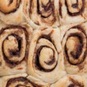 overhead shot of pan of unfrosted cinnamon rolls