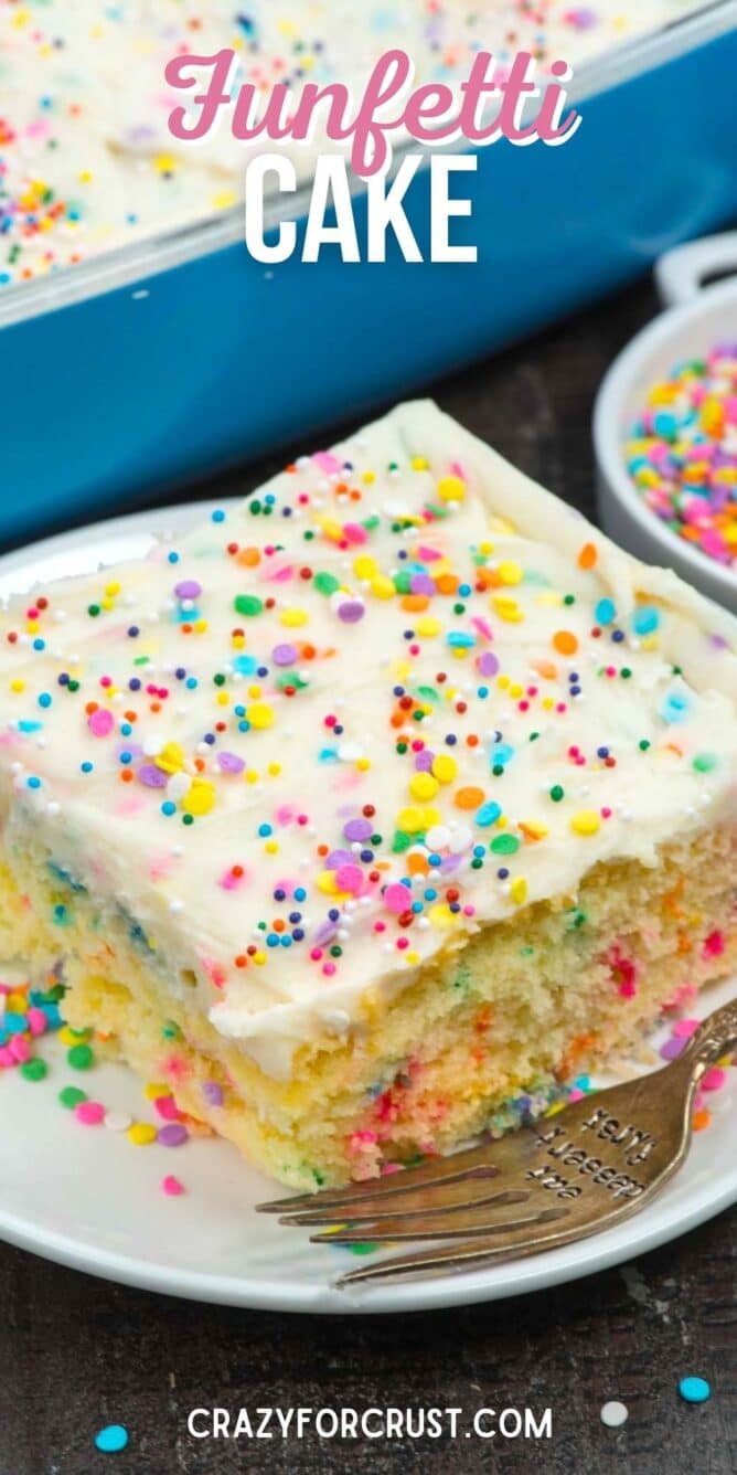 cake slice on white plate