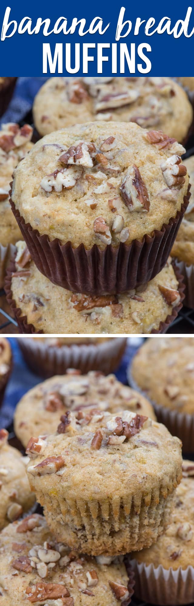 Banana Bread Muffins - Crazy for Crust