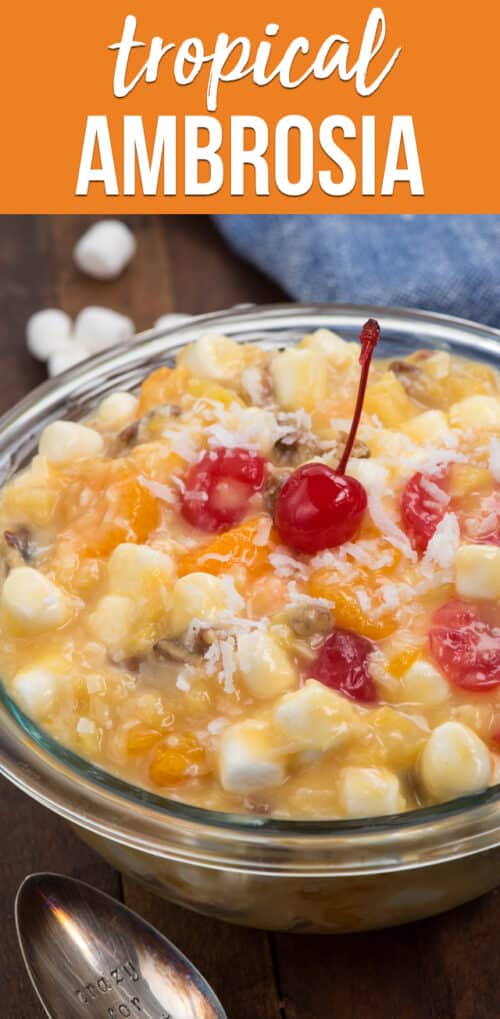 tropical ambrosia salad