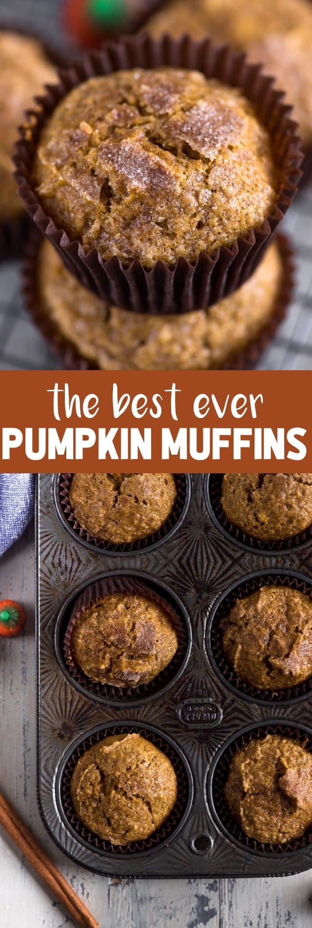 collage of pumpkin muffins photos