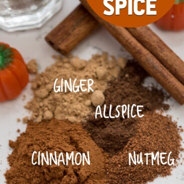 OVERhead shot of pumpkin spice mix ingredients