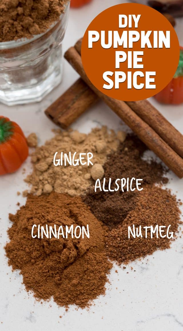 OVERhead shot of pumpkin spice mix ingredients