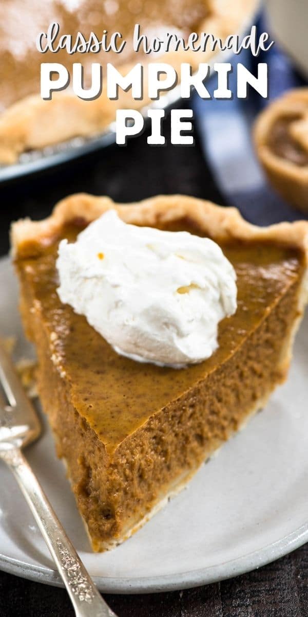 SLICE Of pumpkin pie on white plate