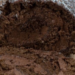 chocolate truffle cake roll