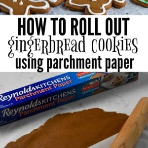 gingerbread cookies (soft & chewy cutouts)