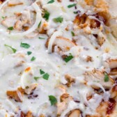 overhead shot of bbq chicken pizza