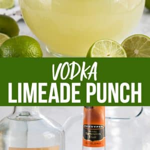 vodka limeade punch