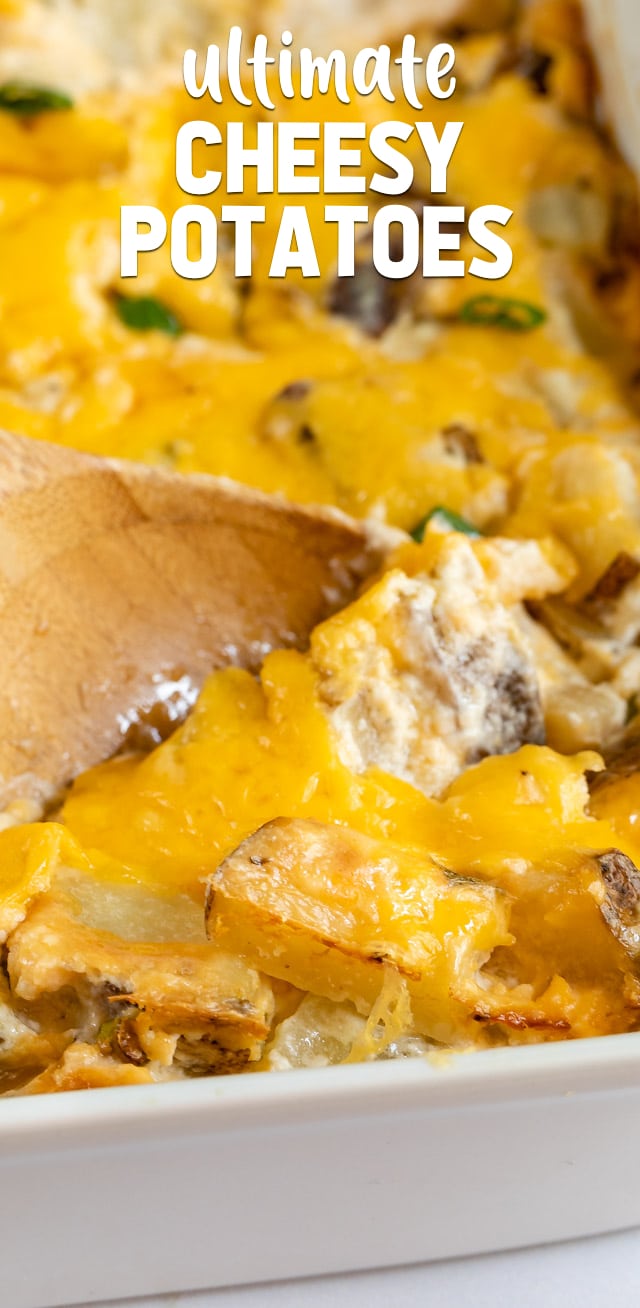 cheesy potatoes on spoon