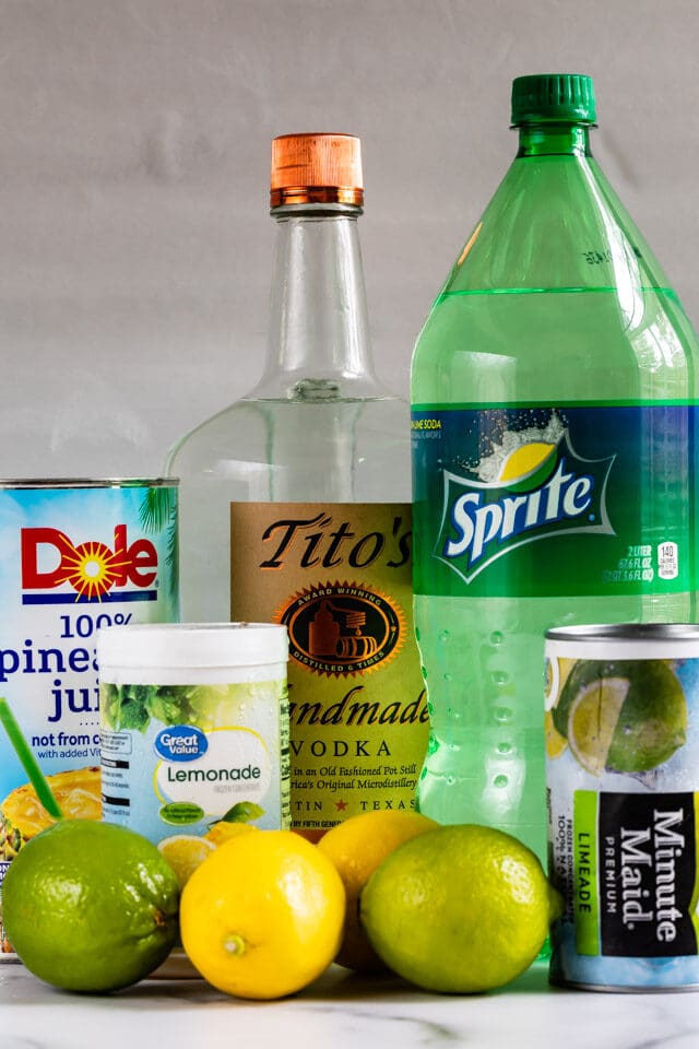  ingredienti in vodka partito punch