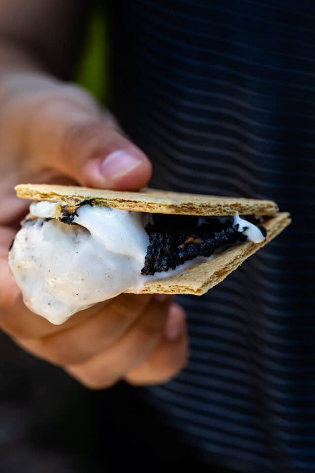 ice cream s'more in hand