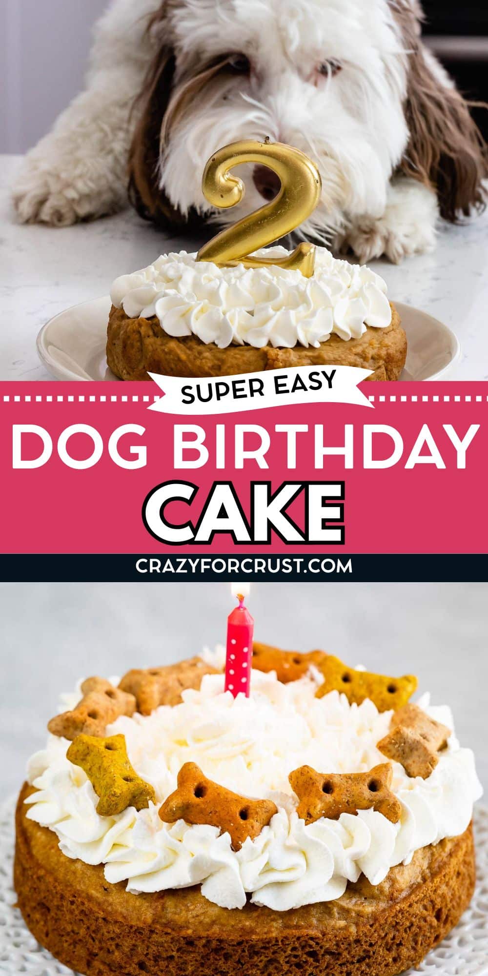 A dog gazes at a birthday cake topped with a gold number 2 candle; below sits another dog cake with a red candle, frosting, and bone-shaped treats. Text reads Super Easy Dog Birthday Cake.