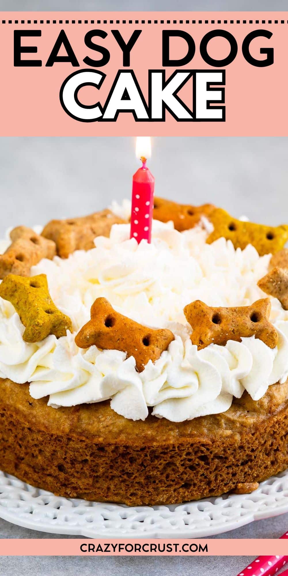 A round dog cake topped with white frosting, dog bone-shaped biscuits, and a single pink candle sits on a white plate. The text above reads Easy Dog Cake.