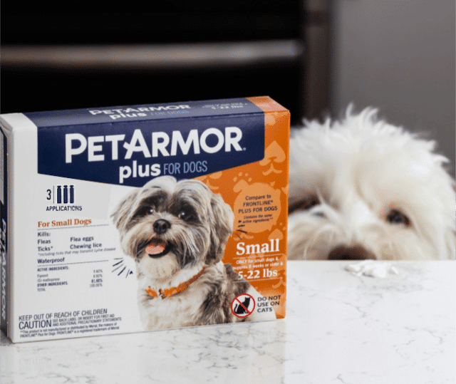 pet armor box and dog
