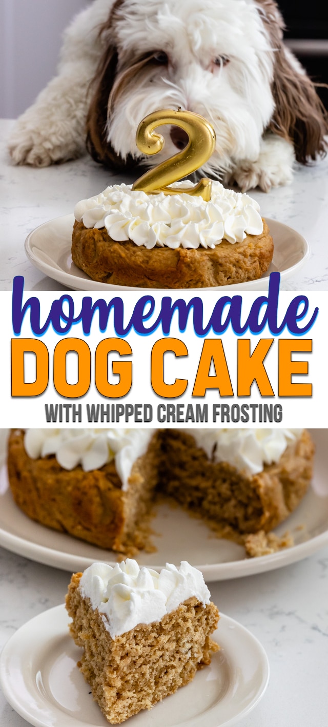 collage of dog cake photos