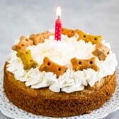 A round dog cake topped with white whipped cream, assorted dog bone-shaped treats, and a lit pink candle sits on a white plate. Pink candles are lying beside the plate on a gray surface.