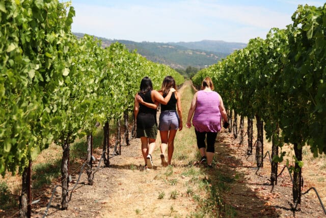 walking in vineyards at St. Francis winery