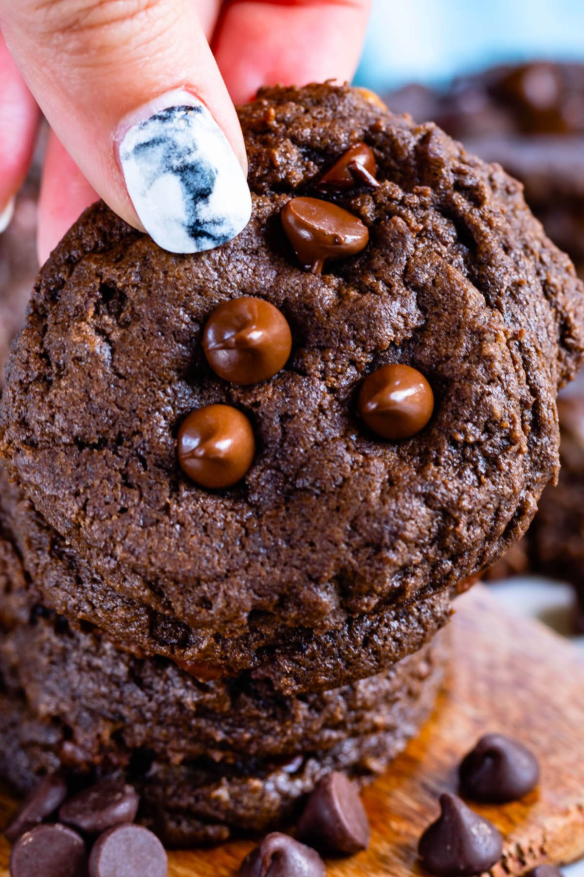fingers holding chocolate cookie