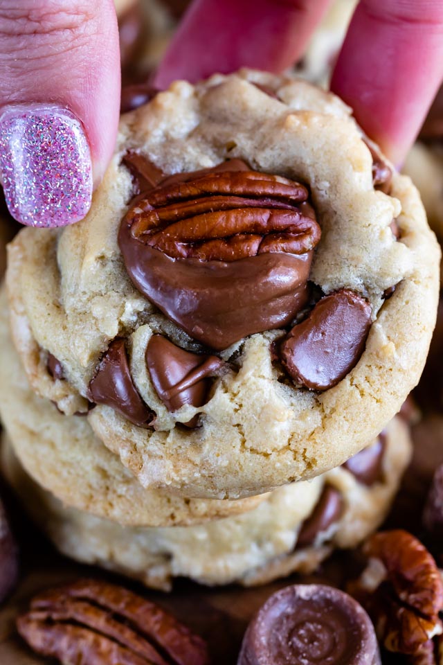 turtle cookie in hand