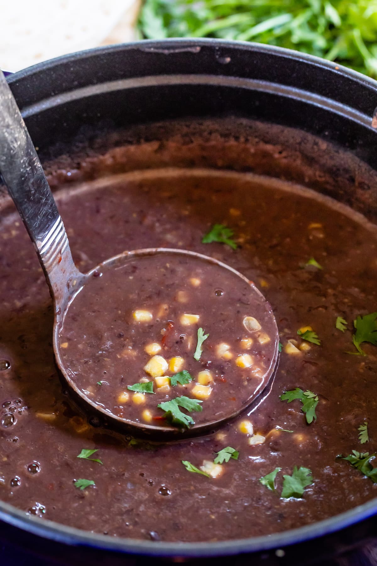 soup in pot with ladle.