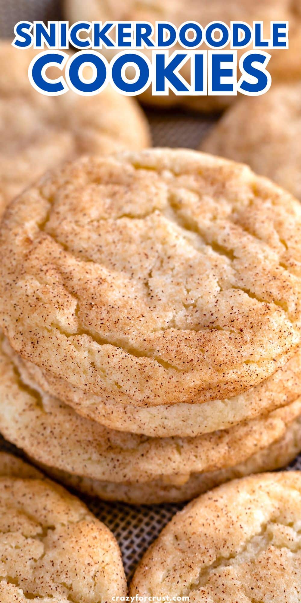 STACK OF COOKIES WITH WORDS ON PHOTO