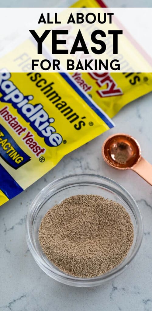 What is Yeast for baking? Crazy for Crust What is Yeast for baking? Crazy for Crust