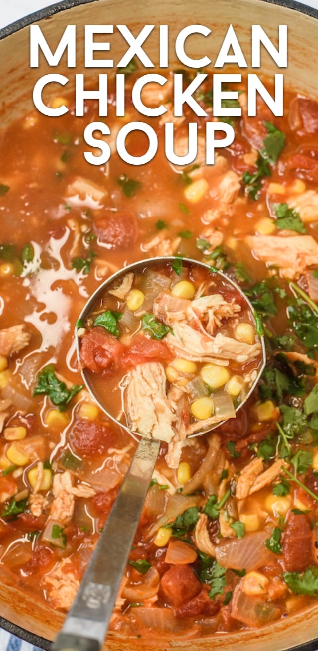 Salsa Chicken Soup (WW recipe) - Crazy for Crust