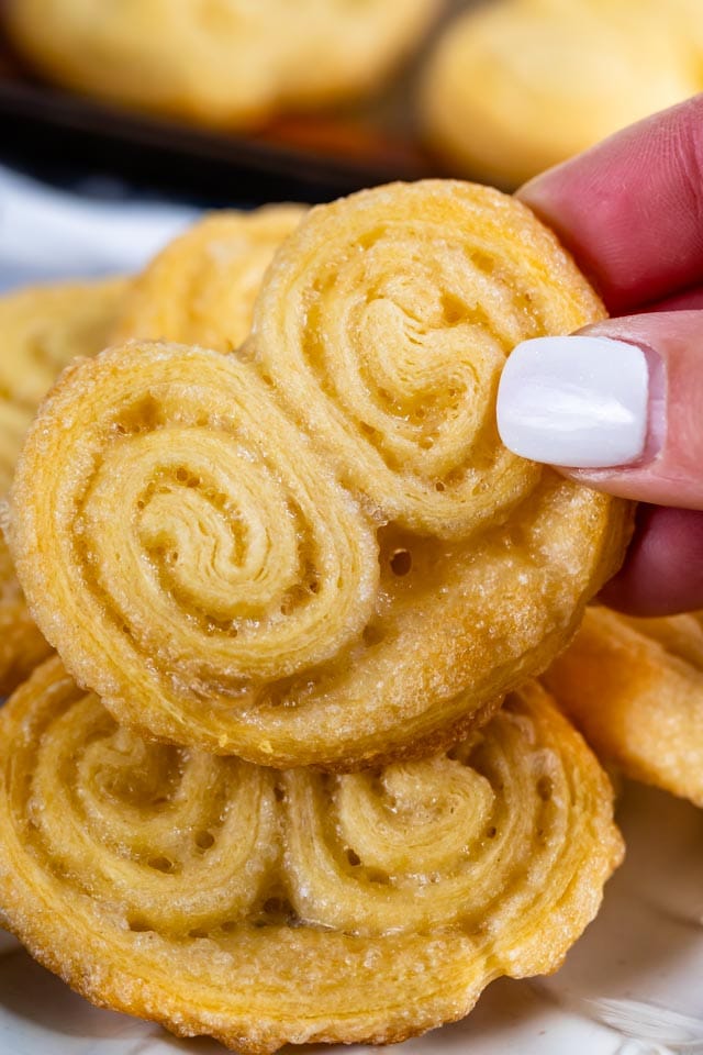 Palmier close up