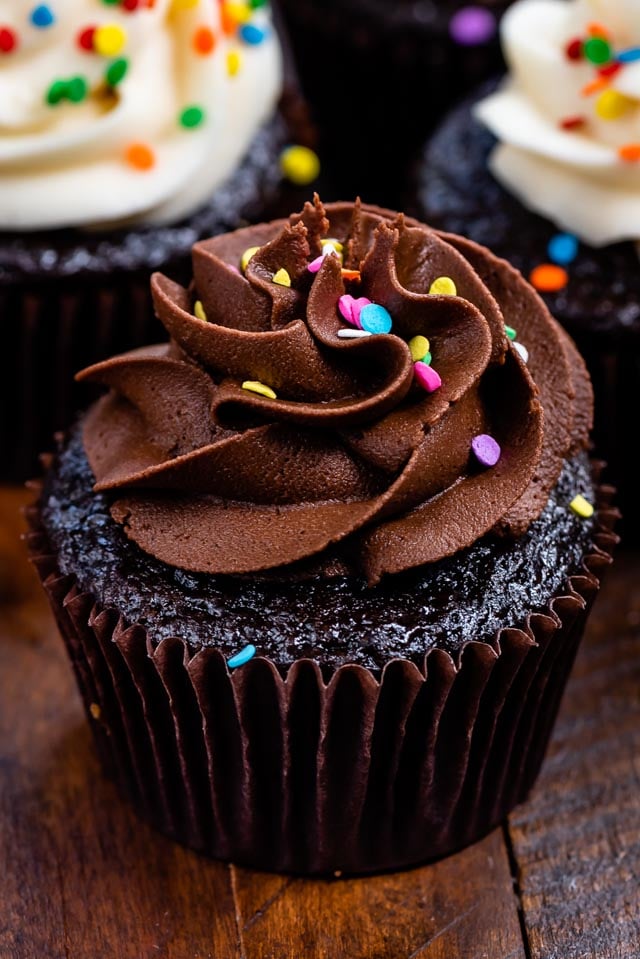 Chocolate cupcake with chocolate frosting and rainbow confetti sprinkles