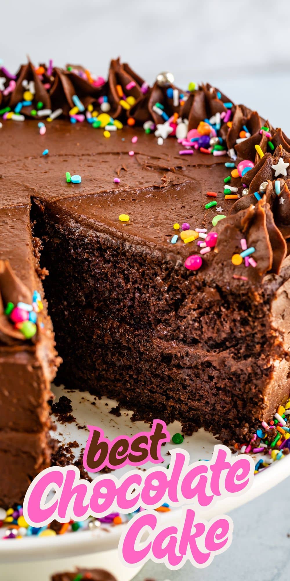 A rich chocolate cake made from a delicious chocolate cake recipe, topped with chocolate frosting and colorful sprinkles, missing one slice. Text in pink and white at the bottom reads best Chocolate Cake.