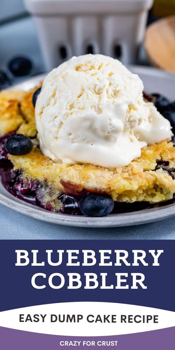 blueberry dump cake with ice cream on plate with color block text below